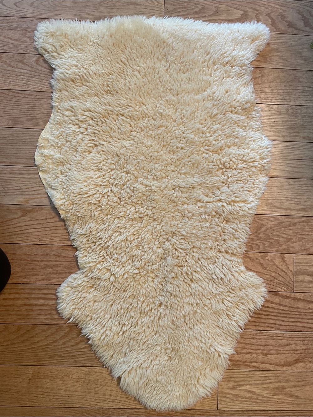 Genuine Plush Natural Sheepskin Accent Rug - Cream